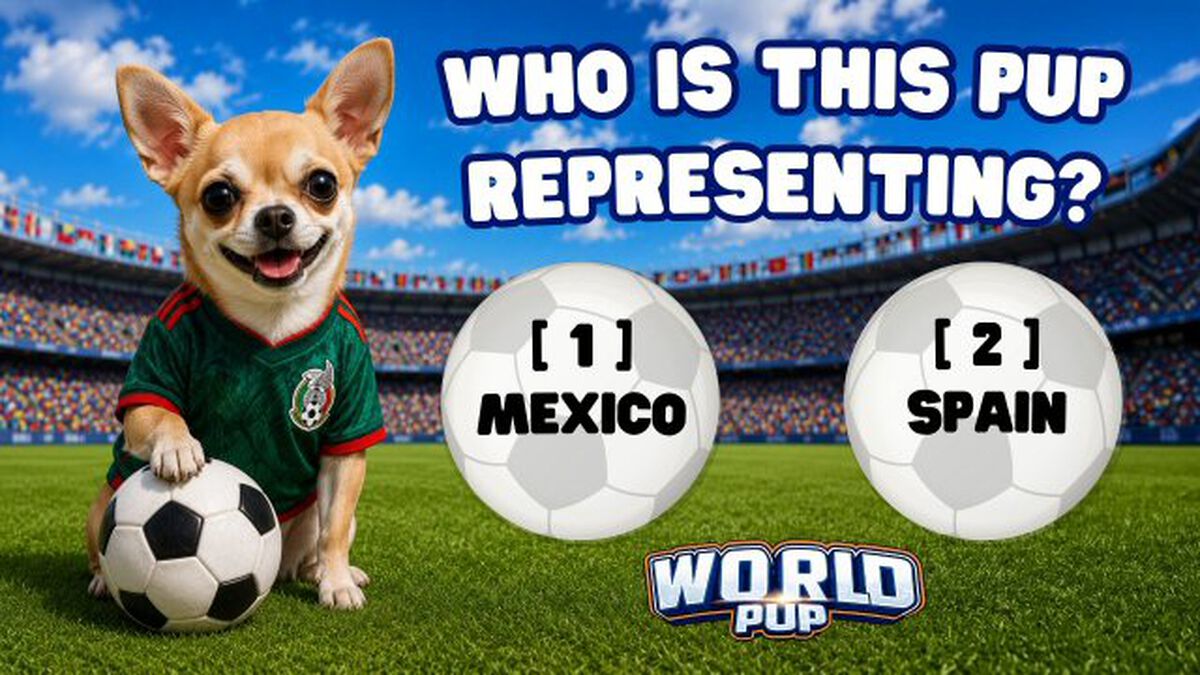 World Pup image number null